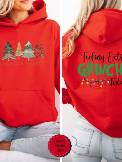 Comfort Colors Front-Back Christmas Hoodie, ''Christmas Trees & Feeling Extra Grinchy'' Design Hoodie, Christmas Hoodie, Christmas Gift, Holiday Hoodie